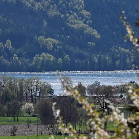 Kohlweis * دوبرياخ