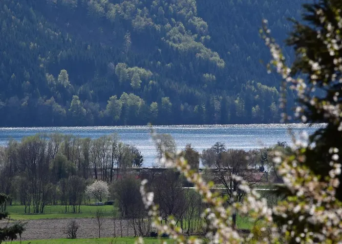 Kohlweis * Döbriach